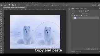 Adobe Photoshop CC 2021 | Simple and easy: Clone Stamp Tool tutorial