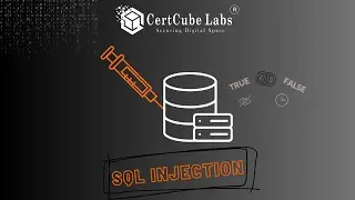 PORTSWIGGER WEB SECURITY ACADEMY SQL Injection - Lab #11