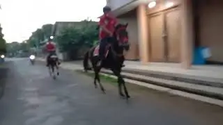 berkuda sore