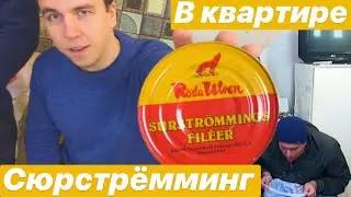 SURSTROMMING / SURSTROMMING / A DISGUSTING SWEDISH DELICACY