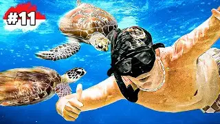 NADANDO con TORTUGAS en BALI + FIESTA COMO SIEMPRE