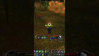 ⚡️Morphious VS shadow priests - World PvP⚡️ 
