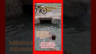 hiburan gratis dari alam