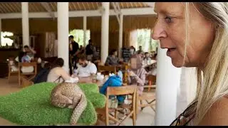 Floortje Dessing op Bali: 'Laat je niet misleiden bij dierenattracties'