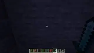 Vacant minecraft