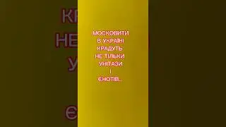 Московити в Україні крадуть не тільки унітази, або кошеня за вбитого синульку. #capcut
