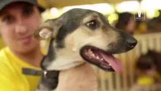 Bastidores “Dia do AdoCão Rio de Janeiro” Pedigree