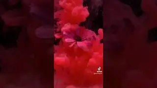 Fotografare esplosione di colori, come fare nuvole colorate nell’acqua