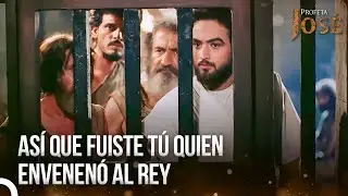 ¡Sólo Puedo Aconsejarte Que No Confíes En Los Sacerdotes De Amón! | José El Profeta