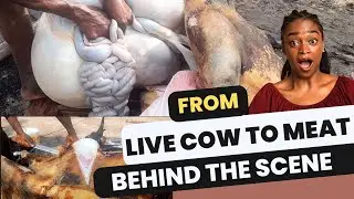 TRUE STORY BEHIND BEEF MEATS