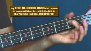 beginner bass guitar lesson polly nirvana new wave