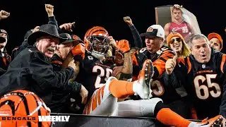 Week 10 vs Texans l Bengals Weekly