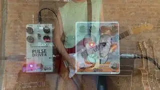 Colombo Audio Electronics Surreal Compressor and Pulse Driver in action