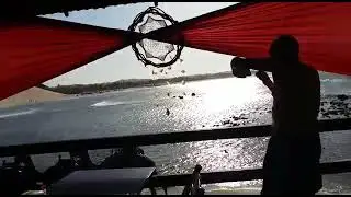 Natal Camelos!