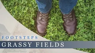 Footsteps - Countryside | Walking Through Tall Grass, Gentle Breeze, Sheep and Birds