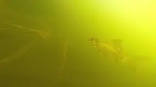 Карась в своей среде