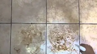 greenmaker infomercial