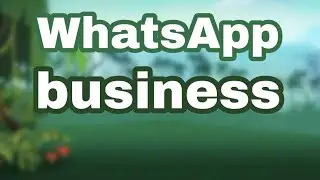 WhatsApp pr business