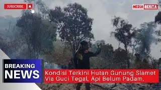 Kondisi Terkini Hutan Jalur Pendakian Gunung Slamet Via Guci Tegal yang Kebakaran || BREAKING NEWS