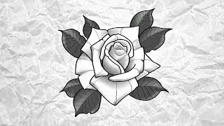 ROSA - Neo Trad | Preto e Cinza - Desenha e Fala | Speed Drawing 