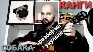 Разбор КАНГИ - СОБАКА (на УКУЛЕЛЕ)