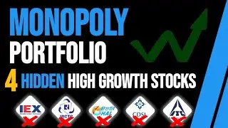 4 Best Hidden Monopoly Stocks Portfolio In India | Multibagger Stocks