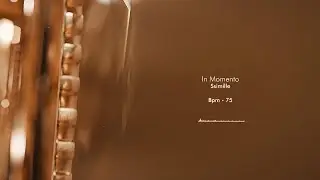 (작곡) Ssimille - In Momento