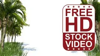 Free Stock Videos - 3D animated Queen Palms and grass with wind effect
