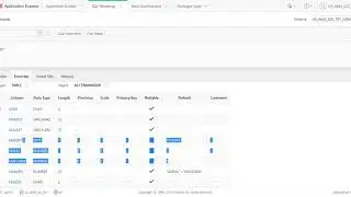 Oracle SQL Programming - Table Creation and Management