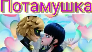 Клип потомушка 💞💞💞