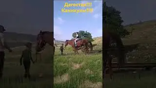 Каникулы в Дагестане!