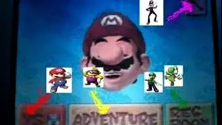 SM64DS so player character on Waluigi