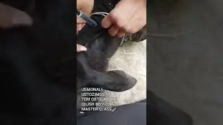 тери  остига яна бир усули