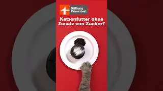 Katzenfutter-Test 2024: Ohne Zusatz von Zucker? (Katzen-Nassfutter-Test Stiftung Warentest)