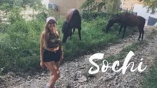 Путешествие в Сочи // YT