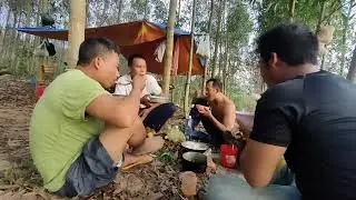 Bẫy chim cút đêm, đồng nai