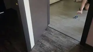 Чихуахуа, пробы в формуле 1