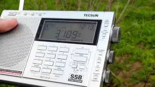 Приёмник TECSUN-PL 600 в сельской местности .и Донецкие сепаратисты