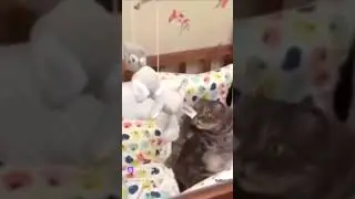 Калыбелька для Котика
