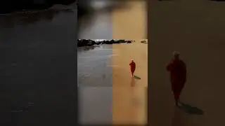 Before and after