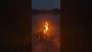 Cleaning the River