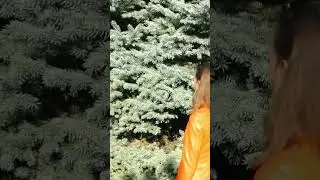 Щастя вам! 