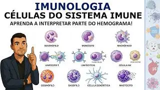 Immune System Cells: Everything You Need to Know 