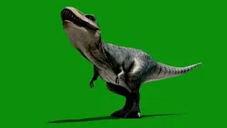 T-rex walk Green Screen HD