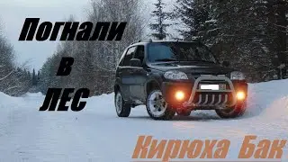 Вернулся домой, в лес на помощь Бате!!!!