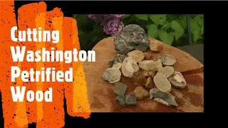 Cutting Washington Petrified Wood  