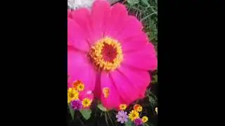 Венер Кутдусов жырлый. Якты булсын килэчэк. Искиткеч матур жыр. Official