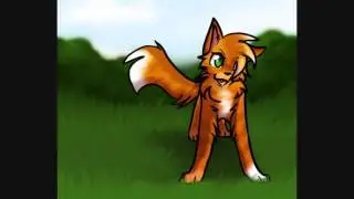 cats-WartiorS полный опенинг