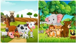 EVS project work for primary class students | wild & domestic animals school project | Science model