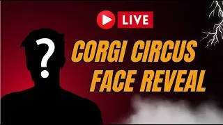 Face Reveal Then Q&A